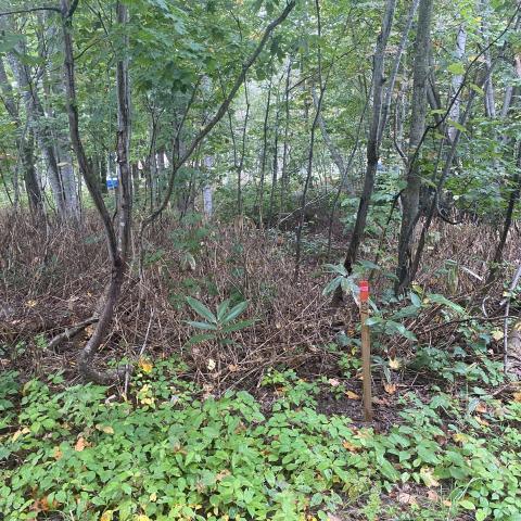 458560775_1040661350610280_2729119688958198225_n